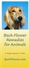 Free Literature - Bach Flower Remedies for Animals