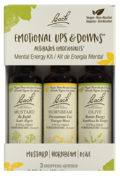 Emotional Ups & Downs Mental Energy Kit by Bach