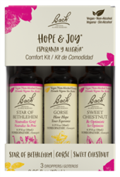 Hope & Joy Kit by Bach