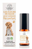 Elixir Spray: Comfort Pets 10ml by Les Fleurs de Bach by Elixirs & Co